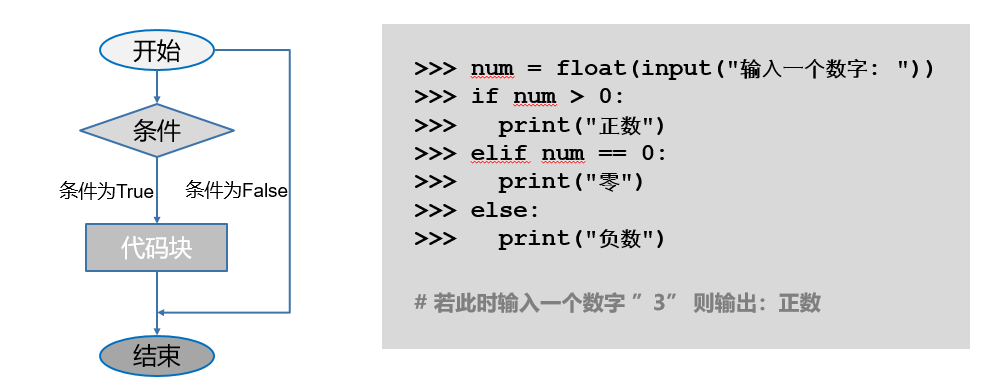 If语句和For语句