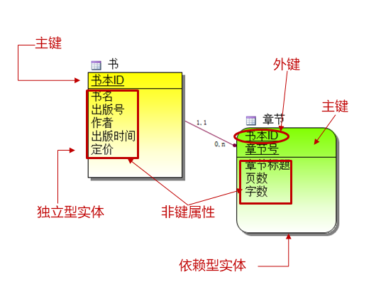 实体中的属性示例